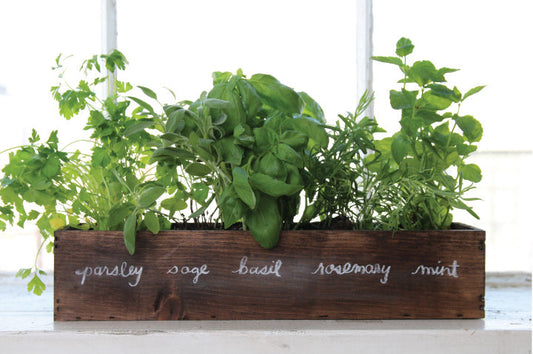 LET YOUR KITCHEN BE YOUR GARDEN