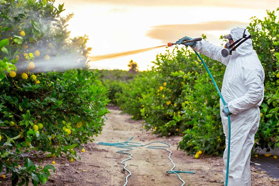 Understanding the Types of Pesticides and Their Impact