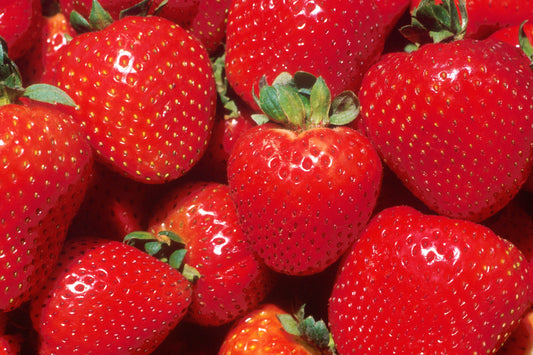 STRAWBERRIES NEXT SUMMERS DELICIOUS GEMS START NOW