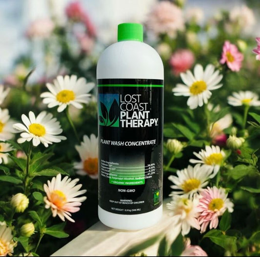 Essential Spring Planting Tips and Strategies to Kickstart Your Garden