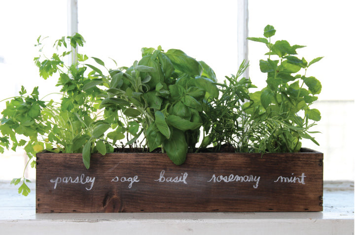 LET YOUR KITCHEN BE YOUR GARDEN