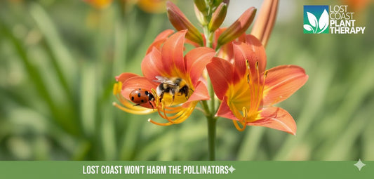 THESE ARE OUR OWN REAL WORLD RESULTS