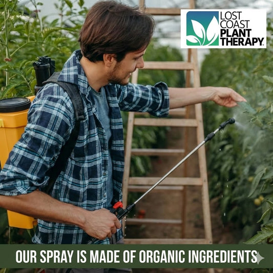 WHY HAVE THREE SPRAYS WHEN ONE WILL DO