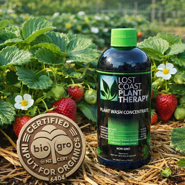 In the Fruit Garden & Orchard