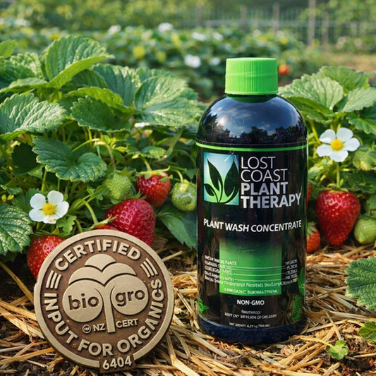 In the Fruit Garden & Orchard