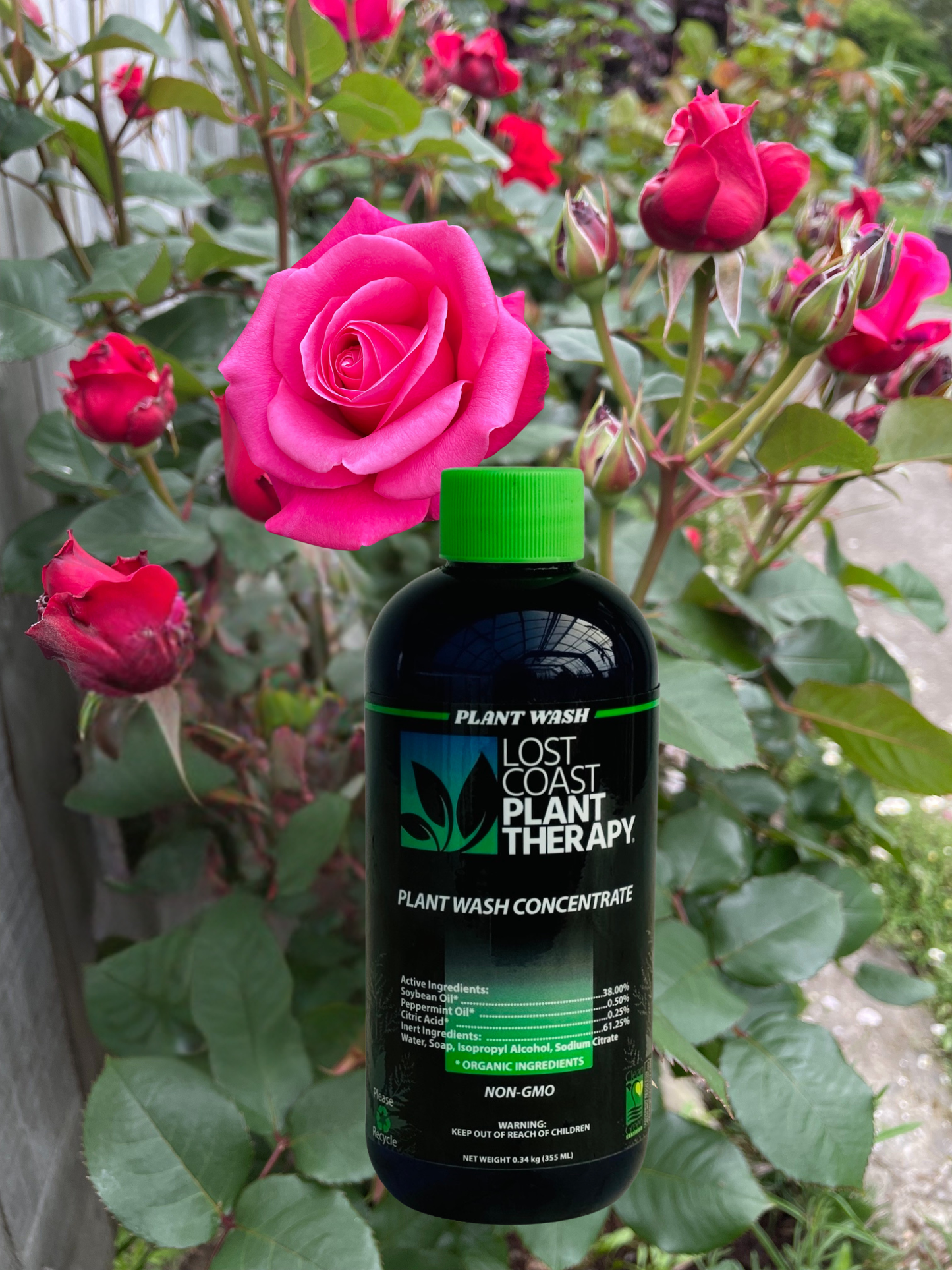 355ml Lost Coast Plant Therapy - Concentrate