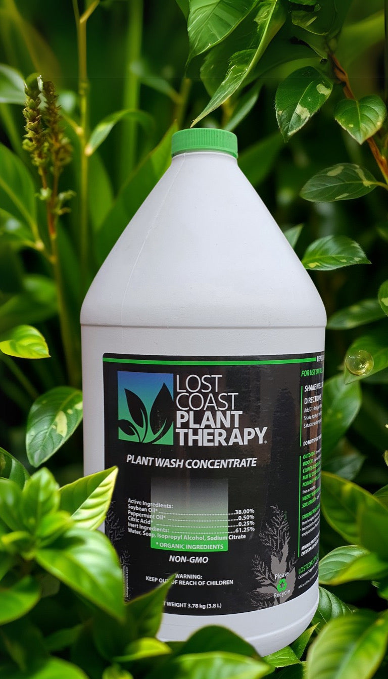 3785ml Lost Coast Plant Therapy - Concentrate