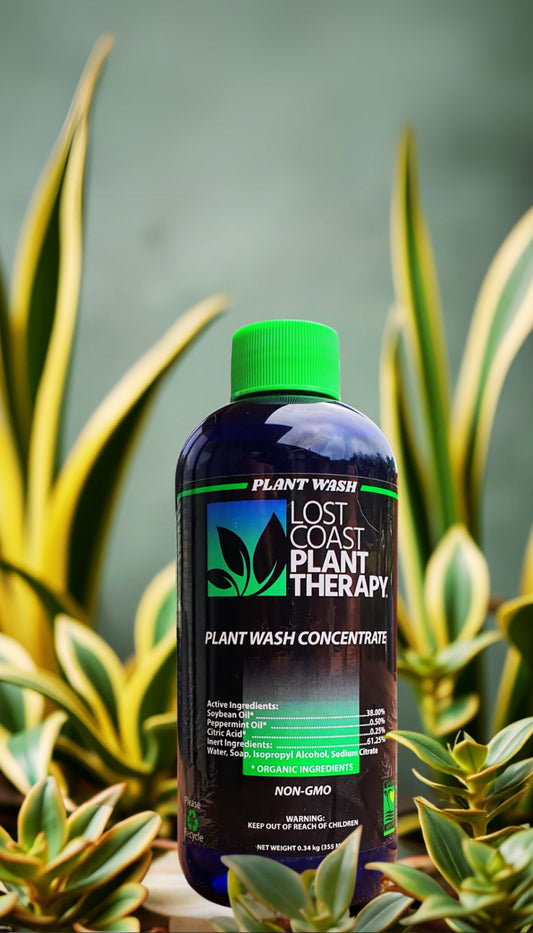 355ml Lost Coast Plant Therapy - Concentrate