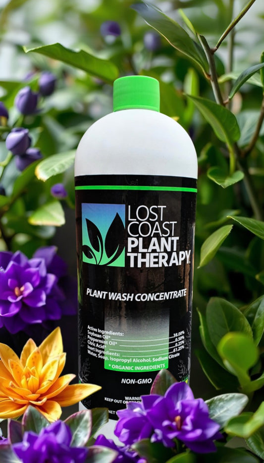 945ml Lost Coast Plant Therapy - Concentrate