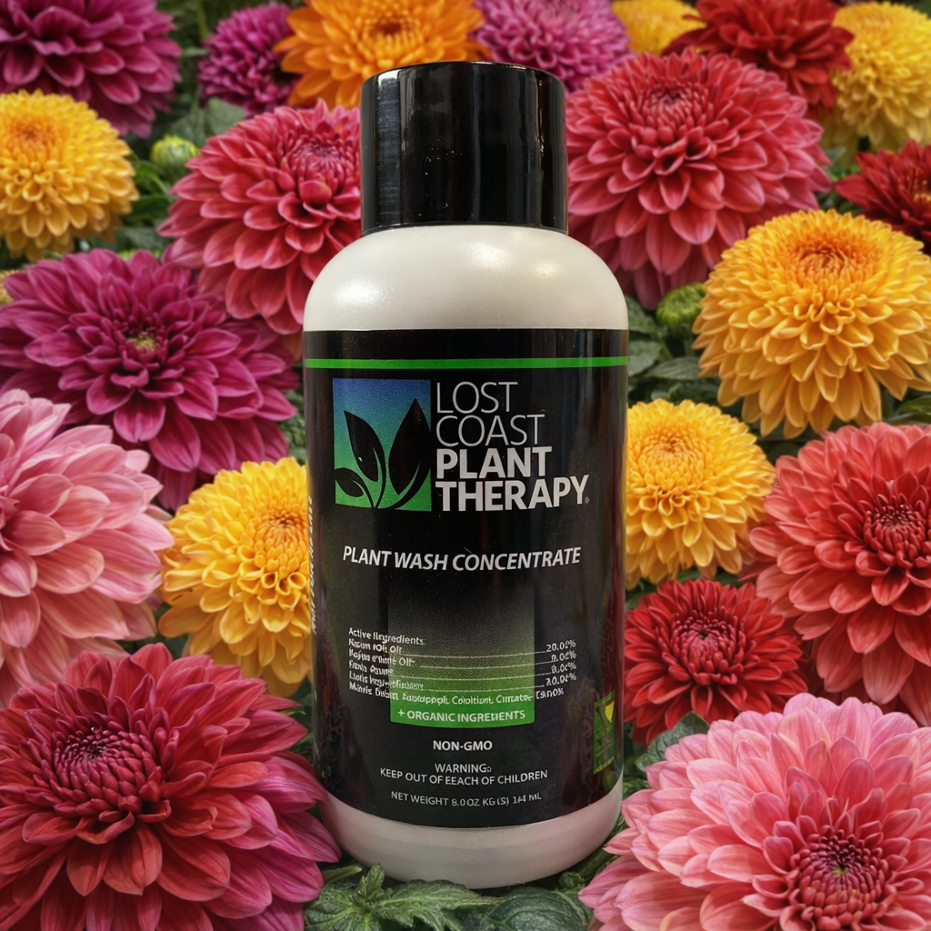 LOST COAST SAMPLE BOTTLE